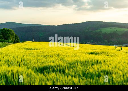 Balade à vélo en été à travers l'arrière-pays de Schmalkalden jusqu'à Werratal près de Breitungen - Thuringe - Allemagne Banque D'Images