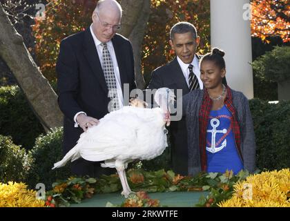 Bildnummer : 58727524 Datum : 21.11.2012 Copyright : imago/Xinhua (121121) - WASHINGTON D.C., 21 novembre 2012 (Xinhua) -- le président américain Barack Obama, avec sa fille Sasha (à droite), continue à sauver turkey Cobbler de la table du dîner pendant la tradition de Thanksgiving de grâce présidentielle dans la roseraie de la Maison Blanche à Washington D.C., aux États-Unis, le 21 novembre 2012. (Xinhua/Fang Zhe) US-OBAMA-TURKEY-PARDON PUBLICATIONxNOTxINxCHN Politik People USA Tiere Truthahn premiumd Erntedank x0x xac 2012 quer 58727524 Date 21 11 2012 Copyright Imago XINHUA Washington D C novembre 21 2012 XIN Banque D'Images