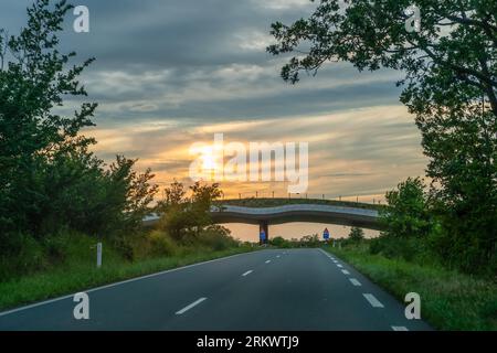 Zeepoort, traversée de la faune à Bloemendaal, pays-Bas Banque D'Images