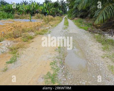 diminution du chemin de perspective dans les terres agricoles Banque D'Images