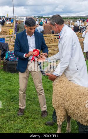 Leyburn, Royaume-Uni. 26 août 2023, Rishi Sunak Premier ministre britannique dans les moutons jugeant des stylos, j.potter alamy nouvelles Banque D'Images