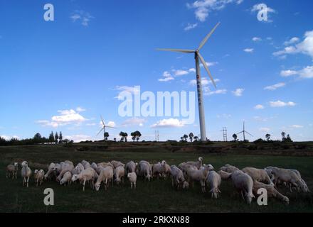 Bildnummer: 59007490  Datum: 12.06.2012  Copyright: imago/Xinhua (130110) -- TAIYUAN, Jan. 10, 2013 (Xinhua) -- File photo taken on June 12, 2012 shows a view of the Xiaowutai Wind Power Mill in Youyu County, north China s Shanxi Province. According to the latest data released by the State Energy Administration, China has become the world s largest energy producer by the end of 2012. The total installed electricity capacity was 1.14 billion kilowatts, including 249 million of hydropower capacity which was the world s largest. The installed wind power capacity stood at 63 million kilowatts, mak Stock Photo