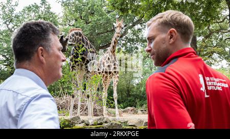 Hanovre, Allemagne. 26 août 2023. Andreas Casdorff (de gauche à droite), directeur général du Hannover Adventure Zoo, et Per Mertesacker, ancien joueur national de football, se tiennent au bord d'une enceinte avec des girafes Rothschld au zoo de Hanovre. Hannover Adventure Zoo décerne à la Fondation Per Mertesacker le parrainage honorifique des girafes Rothschild du zoo. Les deux institutions se soutiennent mutuellement depuis des années dans les domaines de l'intégration, du soutien à l'apprentissage, de la protection de l'environnement et de la conservation des espèces. Crédit : Michael Matthey/dpa/Alamy Live News Banque D'Images