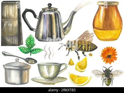 Ensemble d'illustrations à l'aquarelle pour le thé - théière, sac en papier pour le thé, sucrier, verre avec soucoupe, cuillère, vapeur, miel en pot, menthe, calendula, citron et abeille Banque D'Images