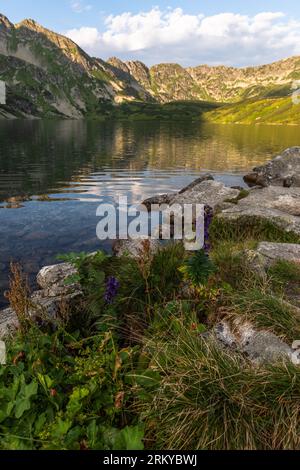 Lacs alpins 'Dolina Pieciu Stawow' dans les montagnes Tatras, Pologne en été Banque D'Images