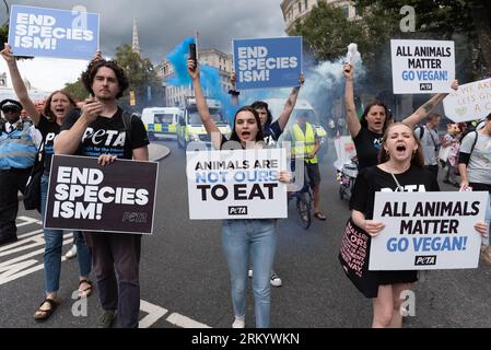 Londres, Royaume-Uni. 26 août 2023. Des militants de PETA (People for the Ethical Treatment of Animals) lors de la marche nationale annuelle des droits des animaux, de Marble Arch à Parliament Square, promouvant le bien-être animal, s’opposant à l’exploitation et à la cruauté des animaux pour des raisons éthiques et environnementales et appelant à un système alimentaire à base de plantes. Crédit : Ron Fassbender/Alamy Live News Banque D'Images