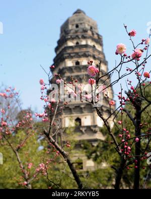 Bildnummer : 59294232 Datum : 03.03.2013 Copyright : imago/Xinhua (130303) -- SUZHOU, 3 mars 2013 (Xinhua) -- des fleurs de prunes sont vues dans la région pittoresque de Huqiu à Suzhou, dans la province de Jiangsu de l'est de la Chine, le 3 mars 2013. (Xinhua/Hang Xingwei) (ry) CHINA-JIANGSU-SUZHOU-PRUNIERS BLOSSOMS (CN) PUBLICATIONxNOTxINxCHN Gesellschaft Jahreszeit Frühling Baum Blüte blühen xas x0x 2013 hoch premiumd 59294232 Date 03 03 2013 Copyright Imago XINHUA Suzhou Mars 3 2013 XINHUA les fleurs de PRUNIER sont des lacs À la zone panoramique de Huqiu dans Suzhou est Chine S province Jiangsu Mars 3 2013 XINHUA Slope Xingwei Ry China Jia Banque D'Images