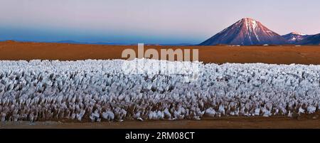 Bildnummer : 59344625 Datum : 12.03.2013 Copyright : imago/Xinhua (130313) -- SAN PEDRO DE ATACAMA (CHILI), 12 mars 2013 (Xinhua) -- l’image fournie par l’Observatoire européen austral (ESO) le 12 mars 2013 montre une vue panoramique de Llano de Chajnantor qui disposera de 66 antennes du projet Atacama large Millimeter/Submillimeter Array (ALMA), qui vise à développer un télescope sans parallèle dans le monde. Le projet Atacama large Millimeter/Submillimeter Array (ALMA) est une installation astronomique internationale située à 5 000 mètres au-dessus du plateau des Andes El Llano de Chajnantor, à environ 50 km Banque D'Images