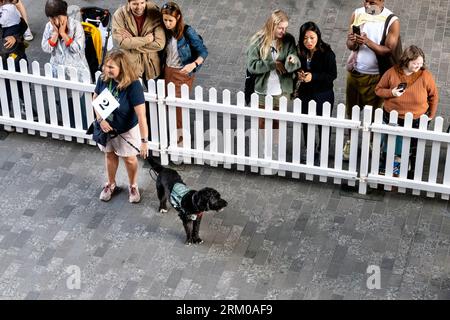 Big Woof Festival at Kings Cross Coal débarque à Londres pour célébrer la Journée internationale des chiens. Banque D'Images