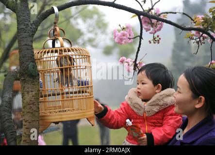 Bildnummer : 59360124 Datum : 16.03.2013 Copyright : imago/Xinhua (130316) -- GUILIN, 16 mars 2013 (Xinhua) -- Une femme voit un oiseau suspendu à des cerisiers avec son enfant au parc Xishan dans la ville de Guilin, dans la région autonome de Guangxi Zhuang, dans le sud-ouest de la Chine, le 16 mars 2013. Plus de 70 cages d'oiseaux ont été exposées pour les touristes à voir dans une forêt de cerisiers ici samedi. (Xinhua/lu Bo an) (yxb) CHINA-GUANGXI-GUILIN-CERISIER BLOSSOM-BIRDS(CN) PUBLICATIONxNOTxINxCHN Gesellschaft Tiere Vogel Kirschblüte Vogelschau premiumd x0x xmb 2013 quer 59360124 Date 16 03 2013 Copyright Imago XINHUA Gu Banque D'Images