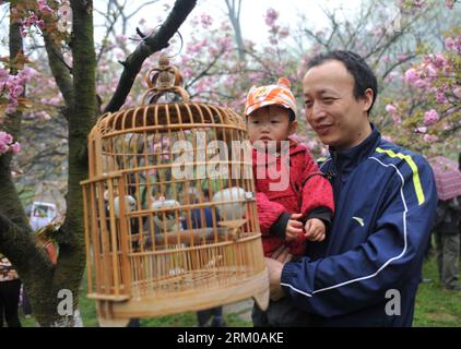 Bildnummer : 59360126 Datum : 16.03.2013 Copyright : imago/Xinhua (130316) -- GUILIN, 16 mars 2013 (Xinhua) -- un homme voit les oiseaux accrochés aux cerisiers avec son enfant dans le parc Xishan de Guilin, dans la région autonome de Guangxi Zhuang, dans le sud-ouest de la Chine, le 16 mars 2013. Plus de 70 cages d'oiseaux ont été exposées pour les touristes à voir dans une forêt de cerisiers ici samedi. (Xinhua/lu Bo an) (yxb) CHINA-GUANGXI-GUILIN-CERISIER BLOSSOM-BIRDS(CN) PUBLICATIONxNOTxINxCHN Gesellschaft Tiere Vogel Kirschblüte Vogelschau premiumd x0x xmb 2013 quer 59360126 Date 16 03 2013 Copyright Imago XINHUA G. Banque D'Images