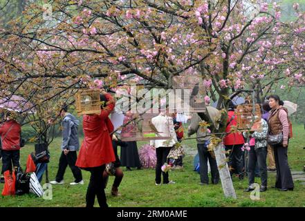 Bildnummer: 59360127  Datum: 16.03.2013  Copyright: imago/Xinhua (130316) -- GUILIN, March 16, 2013 (Xinhua) -- Citizens view birds hung from cherry trees at Xishan Park in Guilin City, southwest China s Guangxi Zhuang Autonomous Region, March 16, 2013. More than 70 cages of birds were displayed for the tourists to view at a cherry forest here Saturday. (Xinhua/Lu Bo an) (yxb) CHINA-GUANGXI-GUILIN-CHERRY BLOSSOM-BIRDS(CN) PUBLICATIONxNOTxINxCHN Gesellschaft Tiere Vogel Kirschblüte Vogelschau premiumd x0x xmb 2013 quer      59360127 Date 16 03 2013 Copyright Imago XINHUA  Guilin March 16 2013 X Stock Photo