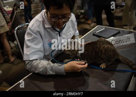 Bangkok, Thailand. 26th Aug, 2023. A veterinarian is providing Cat health checks at an animal lovers event. Held at Central Rama 2 department store, bangkok, thailand, on August 26, 2023. (Photo by Teera Noisakran/Pacific Press) Credit: Pacific Press Media Production Corp./Alamy Live News Stock Photo