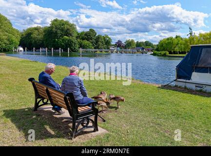 Un couple de personnes âgées assis sur un banc nourrissant des oies au bord de la Tamise à Shepperton un jour d'été, Surrey Angleterre Royaume-Uni Banque D'Images