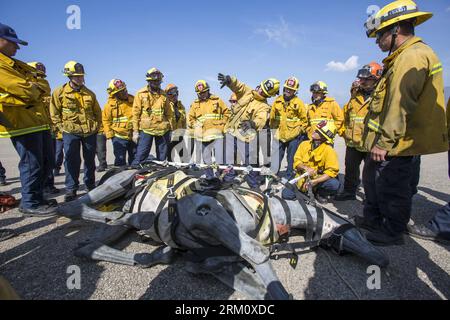 Bildnummer: 59479247  Datum: 05.04.2013  Copyright: imago/Xinhua The members of Los Angeles County and City Fire Departments, along with County Department of Animal Care and Control experts, prepare during a large animal rescue training session in Los Angeles, California, on April 5, 2013. The event focused on horses and cattle in distress - trapped or injured.(Xinhua/Zhao Hanrong) US-LOS ANGELES-LARGE ANIMAL- RESCUE TRAINING PUBLICATIONxNOTxINxCHN Gesellschaft Feuerwehr Feuerübung Übung Pferd Tier x0x xdd premiumd 2013 quer     59479247 Date 05 04 2013 Copyright Imago XINHUA The Members of Lo Stock Photo