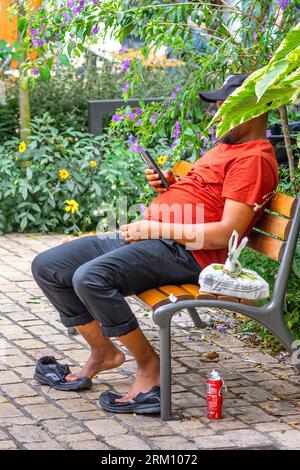 Homme noir assis sur un banc de parc avec le visage caché à l'aide d'un smartphone - Tours, Indre-et-Loire (37), France. Banque D'Images