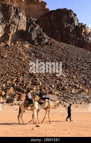 Chameaux à côté de Lawrence's Spring, Wadi Rum, Jordanie, Moyen-Orient Banque D'Images