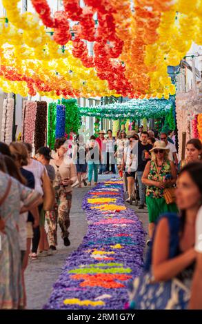 Rues décorées pour Festas dos Tabuleiros à Tomar Portugal 2023 Banque D'Images