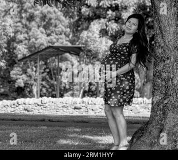 Femme mexicaine enceinte posant à côté d'un arbre dehors dans un parc Banque D'Images