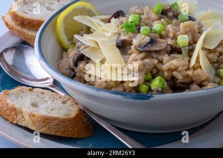 Risotto aux champignons dans un bol de service. Prise de vue en studio. Banque D'Images