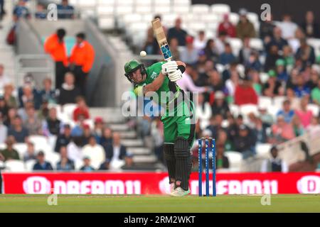 Londres, Royaume-Uni. 26 août 2023. Finn Allen de Southern Brave au bâton alors que les Manchester Originals affrontent le Southern Brave dans l'éliminateur de cent hommes au Kia Oval. Crédit : David Rowe/Alamy Live News Banque D'Images