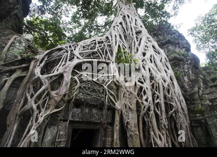 Bildnummer : 59910046 Datum : 26.06.2013 Copyright : imago/Xinhua TA PROHM TEMPLE, 26 juin 2013 - photo prise le 26 juin 2013 montre la scène présentée dans le film Angelina Jolie Lara Croft : Tomb Raider dans le temple Ta Prohm de la province de Siem Reap, Cambodge. Ta Prohm, qui fait partie du complexe du parc archéologique d'Angkor, est connu localement comme le temple de la jungle pour les anciens figuiers, banian et kapok qui poussent de ses terrasses. (Xinhua/Li Ying) CAMBODGE-SIEM REAP-ANGKOR-TA PROHM TEMPLE-TOURISME PUBLICATIONxNOTxINxCHN Gesellschaft xjh x0x 2013 quer 59910046 Date 26 06 2013 Copyright Imago XINHUA Banque D'Images