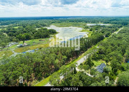 Genève Floride, Lake Proctor Wilderness Area, Taylor Lake Moran Lake, vue aérienne d'en haut, broussailles de pin de sable, bois plats de pin, cygne bayhead de sable Banque D'Images