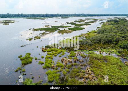 Ponte Vedra Beach Florida, Guana River Wildlife Management Area, aérienne au-dessus de la vue, hamacs maritimes de marais salés, bois plats de pin, nature natu Banque D'Images