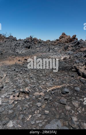 La nature après le feu. Paysage brûlé noir du parc national du Teide Banque D'Images