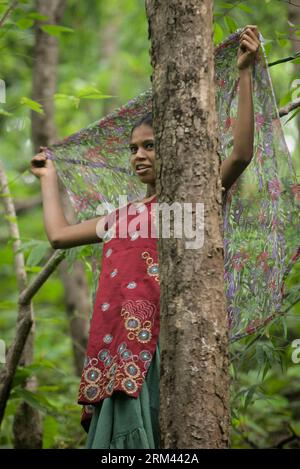 Bildnummer : 60367850 Datum : 18.08.2013 Copyright : imago/Xinhua (130818) -- BHARUCH, 18 août 2013 (Xinhua) -- Une femme d'une tribu voisine se couvre d'un foulard pendant son travail dans la jungle du district de Narmada au Gujarat en Inde, 18 août 2013. Dans la zone de jungle du district de Narmada, dans l'est du Gujarat, certaines femmes tribales doivent travailler 8 heures par jour pour nettoyer les mauvaises herbes qui entourent les jeunes plants de bambou. Ils sont confrontés à des conditions de travail difficiles telles que les insectes piquent et les pentes glissantes pendant la saison de la mousson. Ils étaient employés par le département forestier local, qui planifiait pour tourner le stérile Banque D'Images