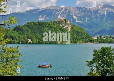 Bildnummer : 60400952 Datum : 12.06.2013 Copyright : imago/Xinhua (130828) -- PÉKIN , 28 août 2013 (Xinhua) -- Une promenade en bateau touristique sur le lac de Bled dans le nord-ouest de la Slovénie le 12 juin 2013. Le magnifique lac glaciaire est une destination touristique populaire à environ 55 km de la capitale Ljubljana. (Xinhua/Liu Jiang) SLOVÉNIE-LAC BLED-VIEW PUBLICATIONxNOTxINxCHN Reisen x0x xkg 2013 quer 60400952 Date 12 06 2013 Copyright Imago XINHUA Pékin août 28 2013 XINHUA un bateau touristique promenades SUR le lac de Bled dans le nord-ouest de la Slovénie LE 12 2013 juin le magnifique lac glaciaire EST un Touris populaire Banque D'Images