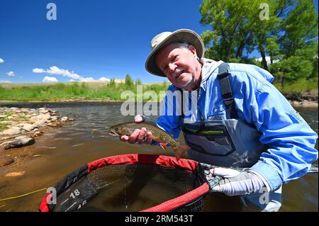 Un pêcheur soulève une grosse omble de fontaine capturée et relâchée du fleuve Fraser dans le comté de Grand au Colorado ! Banque D'Images