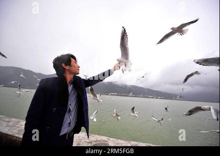 Bildnummer : 60647092 Datum : 28.10.2013 Copyright : imago/Xinhua (131028) - KUNMING, 28 octobre 2013 (Xinhua) -- Un touriste nourrit une mouette à bec rouge sur le lac Caohai Levee du Dianchi à Kunming, capitale du sud-ouest de la Chine, province du Yunnan, 28 octobre 2013. Des dizaines de milliers de goélands à bec rouge ont choisi de passer l'hiver à Kunming ces dernières années grâce à l'environnement écologique confortable de la ville. (Xinhua/Hu Chao) (wqq) CHINA-YUNNAN-KUNMING-GOÉLANDS À TÊTE NOIRE (CN) PUBLICATIONxNOTxINxCHN Gesellschaft Tiere Vogel Möwe x0x xmb 2013 quer 60647092 Date 28 10 2013 Copyright Imago XINHUA Kunming Banque D'Images