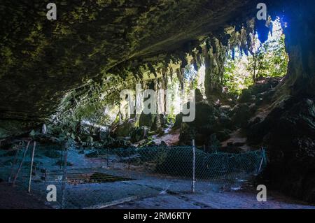 D'anciens restes humains ont été trouvés dans les grottes de Niah, qui forment maintenant un parc national et un site du patrimoine mondial à Sarawak, Bornéo malaisien Banque D'Images