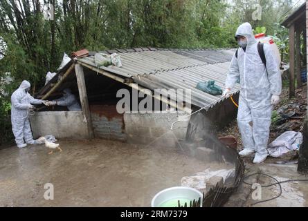 (140212) -- HANOÏ, 12 février 2014 (Xinhua) -- des membres du personnel de prévention des épidémies désinfectent une ferme avicole à Trieu son, province de Quang Tri, Vietnam, 12 février 2014. La province centrale de Quang Tri met en œuvre une série de mesures pour prévenir la propagation de la grippe aviaire. (Xinhua/VNA)(zhf) VIETNAM-QUANG TRI-BIRD PRÉVENTION DE LA GRIPPE PUBLICATIONxNOTxINxCHN Hanoi février 12 2014 XINHUA personnel de prévention des épidémies désinfectent une ferme avicole dans la province de Trieu Sun Quang TRI Vietnam février 12 2014 la province centrale de Quang TRI met en œuvre une série de mesures pour prévenir la propagation de la grippe aviaire XINHUA VNA Banque D'Images