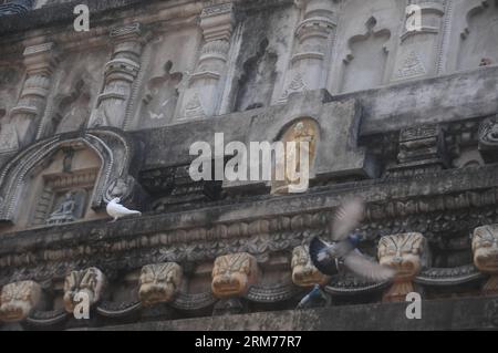 BODH GAYA (INDE), le 17 février 2014 - la photo prise le 17 février 2014 montre une partie du grand temple du complexe du temple Mahabodhi à Bodh Gaya, dans l'État du Bihar, dans l'est de l'Inde. Le complexe du temple Mahabodhi est l'un des quatre lieux saints liés à la vie du Seigneur Bouddha, et en particulier à la réalisation de l'illumination. Le premier temple a été construit par l'empereur Asoka au 3e siècle av. J.-C., et les dates actuelles du temple datent du 5e ou 6e siècle. C'est l'un des premiers temples bouddhistes construits en brique, encore debout en Inde, de la fin de la période Gupta. (Xinhua/Chen Xuelian) (axy) MONDE HE Banque D'Images