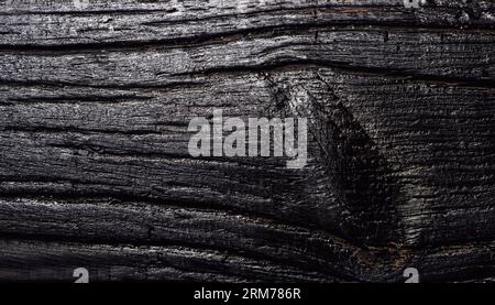 Texture du bois. Photo macro. Arrière-plan de texture noire. Vue de dessus. Banque D'Images