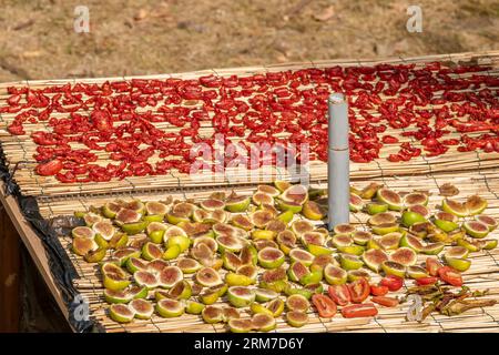 Les figues et les tomates rouges sont laissées sécher au soleil après avoir été coupées en deux Banque D'Images