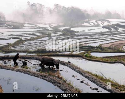 (140310) -- YUANYANG, 10 mars 2014 (Xinhua) -- Un agriculteur de l'ethnie Hani laboure un champ dans le village de Qingkou, dans la ville de Xinjie, dans le comté de Yuanyang, dans le sud-ouest de la Chine, province du Yunnan, 7 mars 2014. Alors que le temps se réchauffe, les agriculteurs ici commencent à labourer le printemps. (Xinhua/Yang Zongyou) (lfj) CHINA-YUNNAN-YUANYANG-FARMING (CN) PUBLICATIONxNOTxINxCHN Yuan Yang Mars 10 2014 XINHUA un agriculteur du groupe ethnique Hani labourait le champ dans le village de Qingkou de Xinjie Town dans le comté de Yuan Yang Sud-Ouest de la Chine S Yunnan province Mars 7 2014 comme temps réchauffe les agriculteurs ici commencer à labourer le printemps XINHUA Yang Zon Banque D'Images