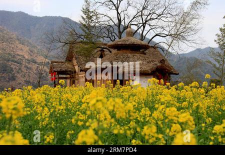 WUYUAN, 11 mars 2014 (Xinhua) -- la photo prise le 11 mars 2014 montre le paysage de fleurs de cole dans le village de Huangling de la ville de Jiangwan dans le comté de Wuyuan, province de Jiangxi dans l'est de la Chine. Les champs de fleurs de cole font de Wuyuan la réputation du plus beau village au printemps. (Xinhua/Shi Guangde) (lfj) CHINA-JIANGXI-WUYUAN-COLE FLOWER FLOWERS (CN) PUBLICATIONxNOTxINxCHN Wuyuan Mars 11 2014 XINHUA photo prise LE 11 2014 mars montre le paysage des fleurs de Cole dans le village de Huang Ling de Jiangwan Town dans le comté de Wuyuan East China S Jiangxi province de Jiangxi les champs de Jiangxi Banque D'Images