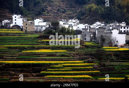 WUYUAN, 11 mars 2014 (Xinhua) -- la photo prise le 11 mars 2014 montre le paysage de fleurs de cole dans le village de Huangling de la ville de Jiangwan dans le comté de Wuyuan, province de Jiangxi dans l'est de la Chine. Les champs de fleurs de cole font de Wuyuan la réputation du plus beau village au printemps. (Xinhua/Shi Guangde) (lfj) CHINA-JIANGXI-WUYUAN-COLE FLOWER FLOWERS (CN) PUBLICATIONxNOTxINxCHN Wuyuan Mars 11 2014 XINHUA photo prise LE 11 2014 mars montre le paysage des fleurs de Cole dans le village de Huang Ling de Jiangwan Town dans le comté de Wuyuan East China S Jiangxi province de Jiangxi les champs de Jiangxi Banque D'Images