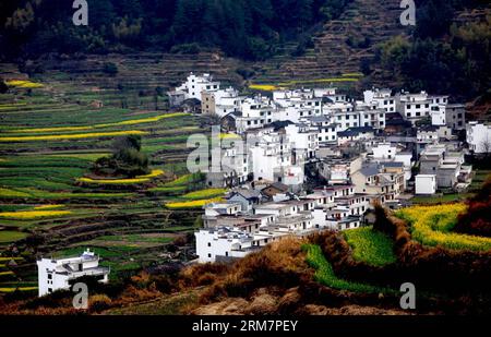 WUYUAN, 11 mars 2014 (Xinhua) -- la photo prise le 11 mars 2014 montre le paysage de fleurs de cole dans le village de Huangling de la ville de Jiangwan dans le comté de Wuyuan, province de Jiangxi dans l'est de la Chine. Les champs de fleurs de cole font de Wuyuan la réputation du plus beau village au printemps. (Xinhua/Shi Guangde) (lfj) CHINA-JIANGXI-WUYUAN-COLE FLOWER FLOWERS (CN) PUBLICATIONxNOTxINxCHN Wuyuan Mars 11 2014 XINHUA photo prise LE 11 2014 mars montre le paysage des fleurs de Cole dans le village de Huang Ling de Jiangwan Town dans le comté de Wuyuan East China S Jiangxi province de Jiangxi les champs de Jiangxi Banque D'Images