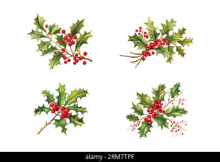 Branche de houx symbole d'hiver aquarelle avec des feuilles vertes et des baies rouges. Joyeux noël clip art Illustration de Vecteur