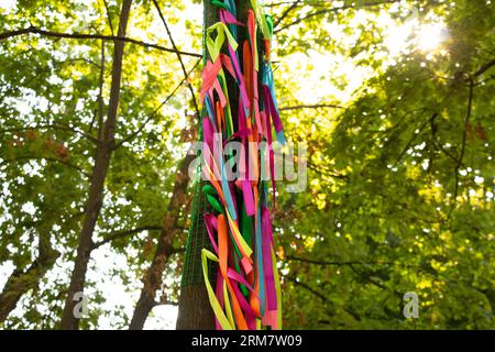 Rubans multicolores comme arrière-plan sont attachés à un arbre dans les parcs en été au soleil, rubans colorés festifs dans le vent Banque D'Images