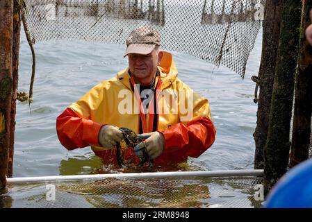 Les pêcheurs en échassiers se tiennent dans l'eau jusqu'à leur taille pour attraper des anchois de la manière traditionnelle Banque D'Images