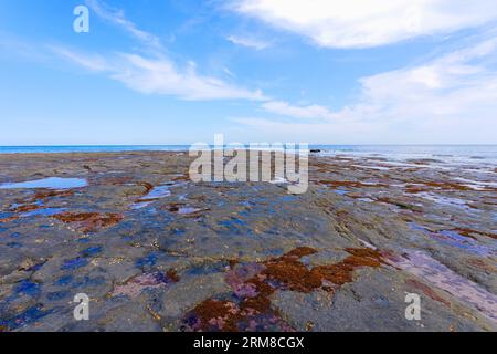 La marée basse à Staithes révèle le rivage couvert de roches couvertes d'algues et de limpets. Banque D'Images