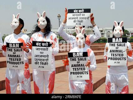 Des militants de People for the Ethical Treatment of Animals (PETA) habillés en lapins tiennent des pancartes lors d’une manifestation à New Delhi, en Inde, le 18 avril 2014. La manifestation a eu lieu avant la semaine mondiale pour les animaux en laboratoire pour exiger du ministère de la Santé et du bien-être familial qu’il interdise la commercialisation et la vente de cosmétiques et de produits ménagers testés sur les animaux. (Xinhua/Partha Sarkar) INDE-NEW DELHI-PROTEST PUBLICATIONxNOTxINxCHN militants de célébrités pour le traitement éthique des animaux Peta habillé en lapins tiennent des pancartes lors d'une manifestation à New Delhi Inde avril 18 2014 la protestation qu'elle Banque D'Images