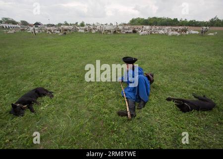 (140426) -- HORTOBAGY, 26 avril 2014 (Xinhua) -- Un berger troupeau un troupeau de bovins gris lors d'une célébration marquant le début d'une nouvelle saison de pâturage dans les grandes Plaines hongroises à Hortobagy, dans l'est de la Hongrie, le 26 avril 2014. (Xinhua/Attila Volgyi) HONGRIE-HORTOBAGY-TRADITION FOLKLORIQUE-NOUVELLE SAISON DE PÂTURAGE PUBLICATIONxNOTxINxCHN Hortobagy avril 26 2014 XINHUA un Berger troupeau de bovins gris lors d'une célébration marquant le début de la nouvelle saison de pâturage dans les grandes plaines hongroises à Hortobagy Hongrie orientale LE 26 2014 avril XINHUA Attila VOLGYI Hongrie Hortobagy tradition folklorique Nouveau graz Banque D'Images