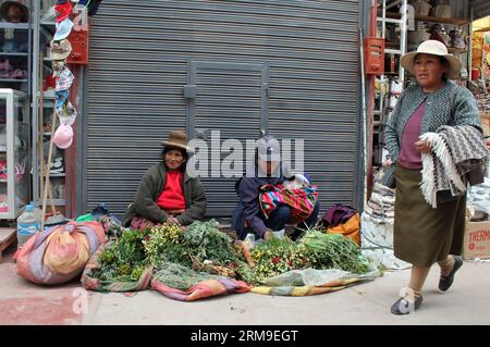 (140520) -- PUNO, 20 mai 2014 (Xinhua) -- Une femme vend des herbes dans le centre-ville de Juliaca, Pérou, 13 mai 2014. Le lac Titicaca et ses îles flottantes dans la région de Puno au Pérou ont non seulement des attractions naturelles, mais aussi une culture unique en raison du peuple Quechua de Juliaca qui y vit. Le lac Titicaca est situé dans le plateau de Collao, avec les îles de Luna, Taquile, Amantani, Uros et Suriqui. (Xinhua/Luis Camacho)(zhf) PERU-PUNO-TITICACA LAKE-FLOATING ISLAND PUBLICATIONxNOTxINxCHN Puno Mai 20 2014 XINHUA une femme vend des herbes dans le centre-ville de Juliaca ville Pérou Mai 13 2014 le lac Titicaca Banque D'Images