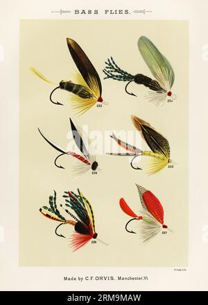 Illustration vintage de crochets de pêche à la mouche : crochets de mouche barbelés assortis avec différentes tailles et oeillets pour des motifs de mouche artificiels dans la pêche à la mouche. Env. Banque D'Images